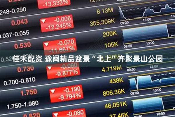 佳禾配资 豫闽精品盆景“北上”齐聚景山公园