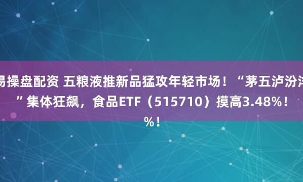 易操盘配资 五粮液推新品猛攻年轻市场！“茅五泸汾洋”集体狂飙，食品ETF（515710）摸高3.48%！